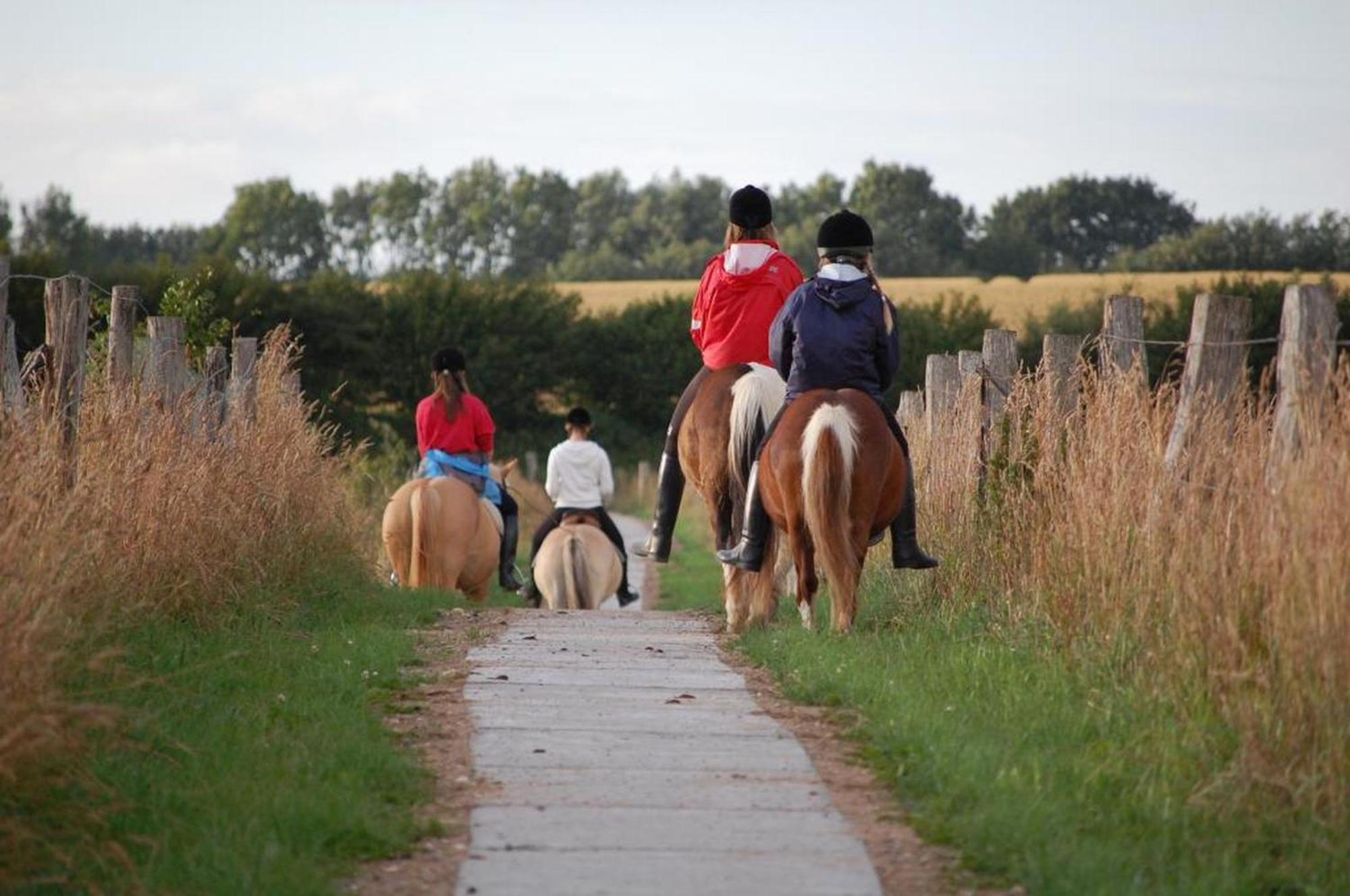 Ferienwohnungen Auf Dem Ferienhof Sell Stoltebüll Zewnętrze zdjęcie